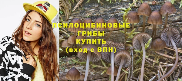 apvp Михайлов