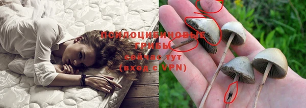 спиды Михайловск