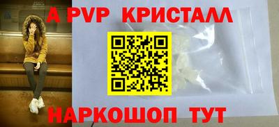 соль ск Кингисепп
