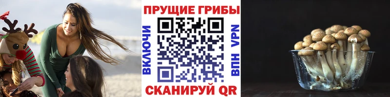 Псилоцибиновые грибы GOLDEN TEACHER  Ульяновск 