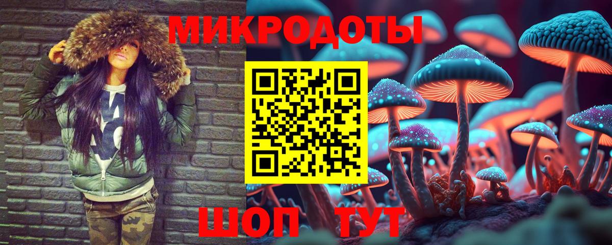 Псилоцибиновые грибы GOLDEN TEACHER  Ульяновск 