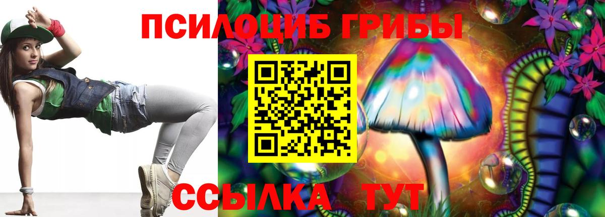 Псилоцибиновые грибы Cubensis  Вход с VPN  Ульяновск 
